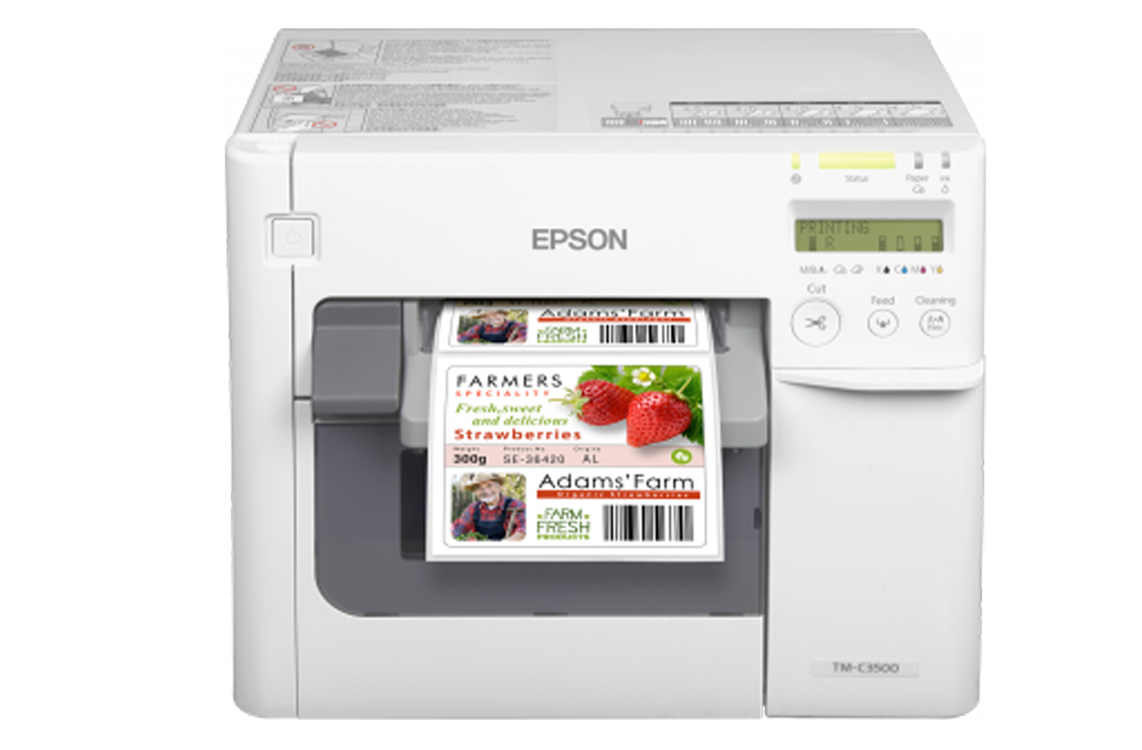 Epsonc3500, Rubino SRL - Macchine e Materiali per Etichette